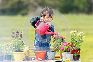 Asia child girl education  care plant flower in garden. Kid gardening for education outdoor sunnyÂ  nature background.